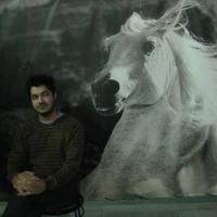 F32828_director